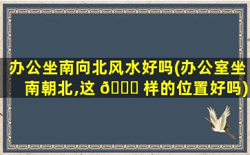 办公坐南向北风水好吗(办公室坐南朝北,这 🍀 样的位置好吗)